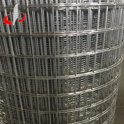 China Fence Mesh Stainless Steel Galvanized Welded Wire Mesh Made In China for sale