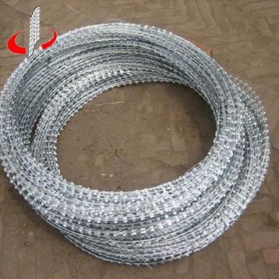 China Bto-22 Fine Fence Galvanized Razor Barbed Wire Factory In China for sale