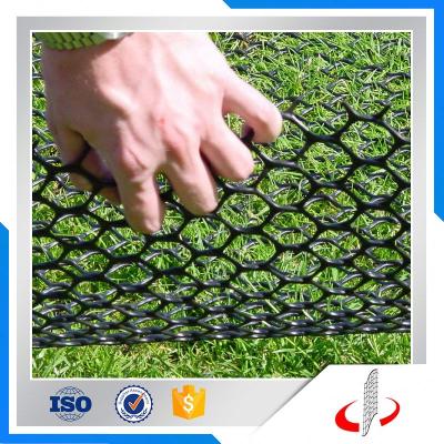 China Plastic grass protection net for turf glass reinforcement for sale