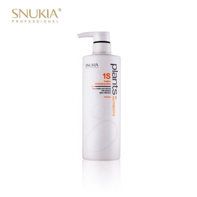 China Best Anti Dandruff Salon Herbal Dandruff Soft Volume Sulfate Hair Growth Argan Oil Free Organic Shampoo for sale