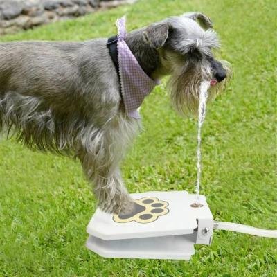 China Environmentally Friendly Driver Bowl Water Pedal Push Pet Bukrein Sponge Dog Automatic Water Fountain for sale