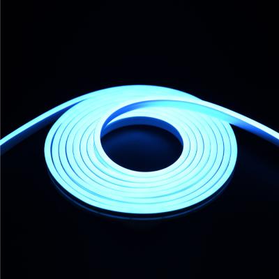 China Strip 12V Logo Sign Lights Flexible Neon Light 5meters Hotel LED Silicone Compressed Neon Flex Kit for DIY Signage for sale