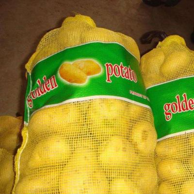 China Food PP Gauze Mesh Bag Onion Bag Fruit Mesh Bag With Drawstring for sale