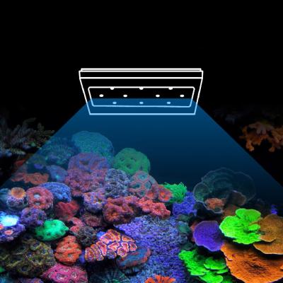 China 215W Full Spectrum Controllable Saltwater Aquarium Reef Tank LED Lighting A8 for sale