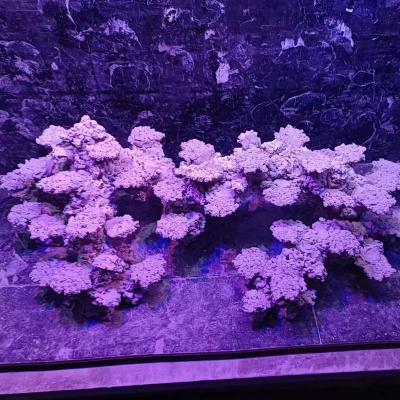 China Customized Large Artificial Fish Tank Viable Decoration Coral Reef Rock For 150cm Saltwater Aquarium for sale