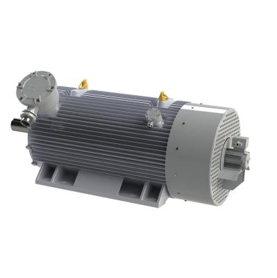 China Totally Enclosed Low RPM High Torque AC Generator Permanent Magnet Alternator With Magnet Price for sale