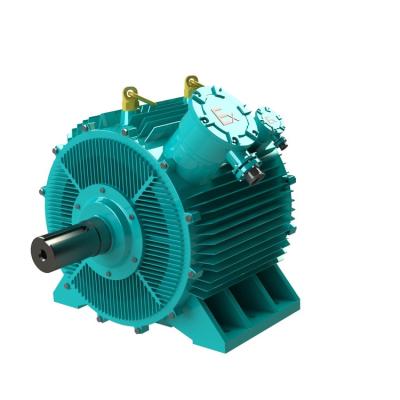 China Totally Enclosed Permanent Small Water Electricity Three Phase St AC Generators Magnets Motor for sale