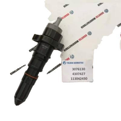 China Diesel Fuel Injector 3076130 / 4307427 / 113042430 For Cummins KTA19 Engine for sale