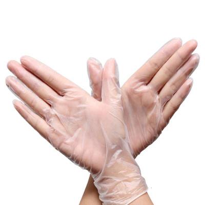 China SHUOYA PVC Disposable Vinyl Clear Cleaning Glove For Food Cleaning Beauty Industrial Hairdressing for sale