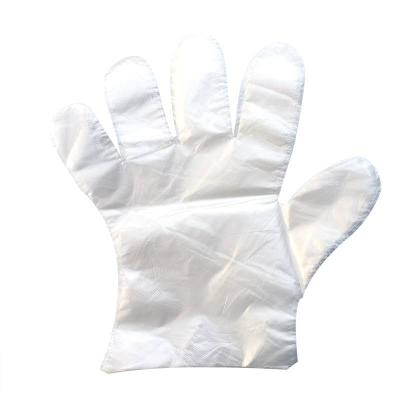 China Food SHUOYA Disposable Transparent Food PE Gloves HDPE PE Plastic Gloves For Fast Food for sale