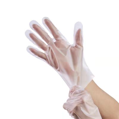 China Wholesale shuoya PVC vinyl gloves food vinyl gloves cheap blue high quality disposable vinyl gloves for sale