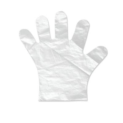 China SHUOYA Food PE Gloves 0.4-1.2g Disposable Transparent HDPE LDPE Household Plastic Gloves for sale