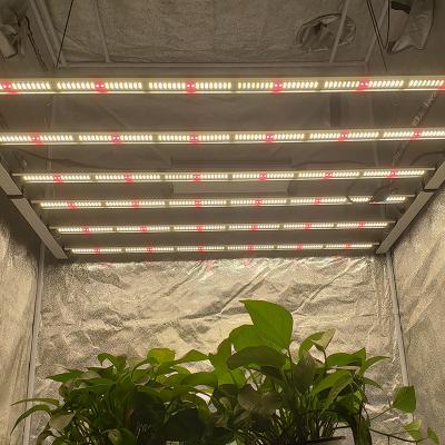 China AURORA Factory Wholesale Led Plant Grow Light Adjustable Light 0-10V Seed Starting Light High Power Led Plant Grow Light for sale