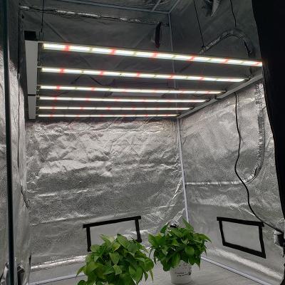 China Seed Starting AURORA Folding Full Spectrum LM301b Led Chips Commercial Horticulture 680W LED Grow Light for sale