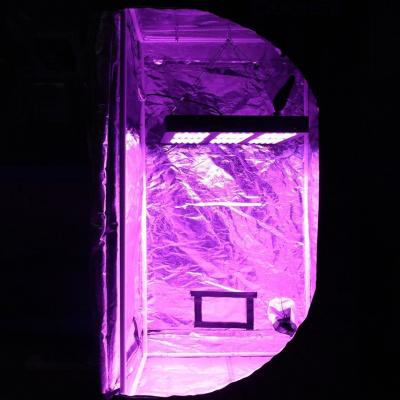 China Seed Starting Grow Light Sprectrum Full Led 380W Led Greenhouse Grow Light Led for sale