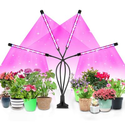 China Seed Starting Blue And Red Full Spectrum Plant Lamp 40W LED Grow Light For Office Plants for sale