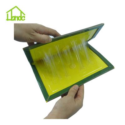 China Disposable Glue Pad Catcher Rat Mouse Sticky Trap for sale