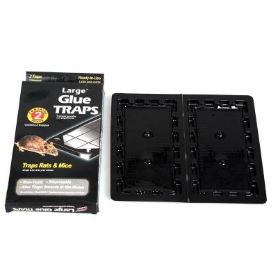 China Disposable Rat Guard Black Mouse Glue Traps For Mice for sale