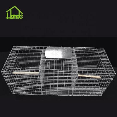 China Disposable Folding Live Animal Bird Trap Cage for sale