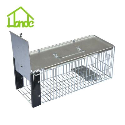 China Large Viable Rat Trap Cage Red Squirrel Cage for sale