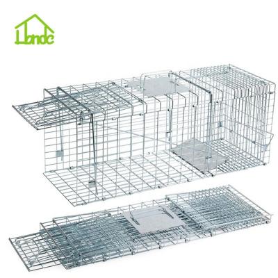 China Wire Viable Collapsible Animal Humane Trap Cage Large One Door Live Animal Trap Live Catch Mouse Metal Collapsible Rat Animal Trap for sale