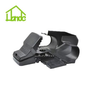 China Disposable Kids Rat Trap Safe Rat Killer for sale