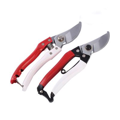 China Wholesale Garden Working Garden Shears Garden Cut Accessories Garden Pruner Titanium Pruning Scissors for sale