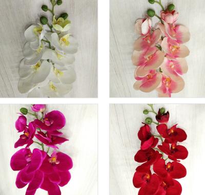 China Artificial Decoration Moth Orchid Flower for Home Decoration for sale