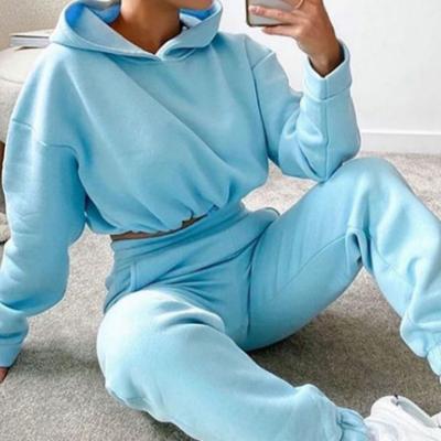 China Anti-Wrinkle Logo Unisex High Quality Custom Sweatsuit 2 Pieces Set Women's Hoodies Tracksuit Wholesale Blank Casual Sweatshirt for sale