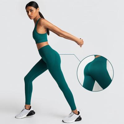 China Breathable Wholesale Sport Suit Women Fitness Clothing 2 pcs Sport Wear Yoga Shockproof Bra Set Gym Sportswear Running Leggings Women Set for sale