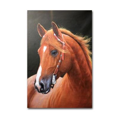 China Wall Decoration Realistic Hand Painted Horse Animal Head Oil Painting for sale