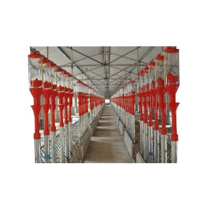 China High Efficiency Automatic Hog Feeder Newly Researched Automatic Pig Feeder for sale