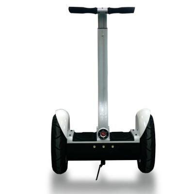 China Portable 17 Inch Balancing Electric Scooter Segway With Training Wheel for sale