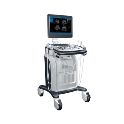 China Other LTUB30 Expert Pseudo-color 3d Ultrasound Scanner for sale