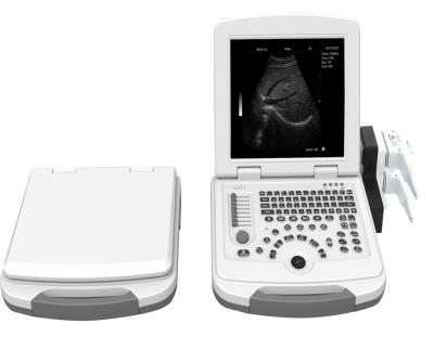 China Yes LTUB47 heart, abdomen, urology, obstetrics and gynecology, pediatric laptop ultrasound for sale