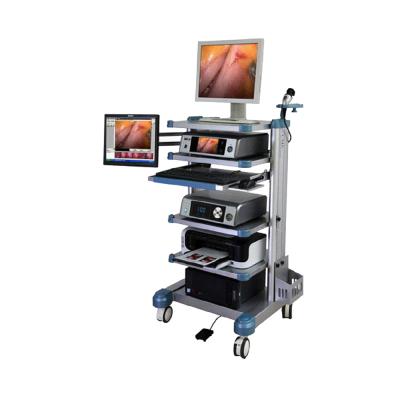 China Other medical grade flexible laparoscopic LTES02 endoscopy for sale