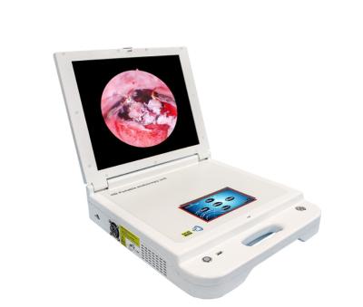 China 1920(H)*1080(V) LTES43 HD 17 Inches Portable Endoscopy Camera System for sale