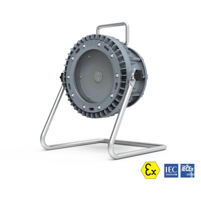 China 30W 45W 60W 80W LED Explosion Proof Work Light Long Lifespan Sealion Series à venda