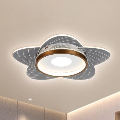 China Citizen Room Living Room Bedroom Flower Outdoor Fit Modern Flush Mounted Ceiling Lights for sale