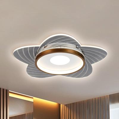 China Modern Light Fixtures Nordic Modern Living Room Sound Acrylic Single Lighting LED Ceiling Light Outdoor Lamp for sale