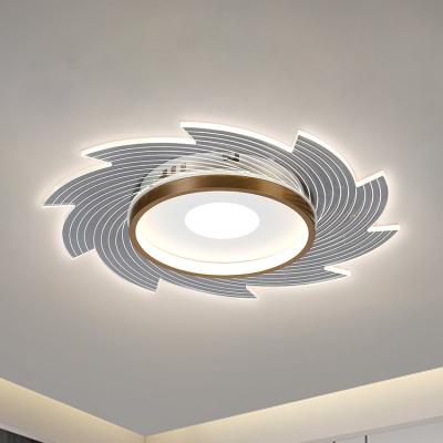 China Sound Iron Acrylic Transparent Corridor Exterior Mounted Home Bedroom Lighting Modern Flush Mount LED Ceiling Lights for sale