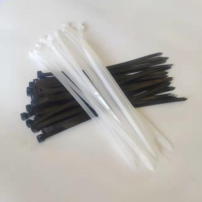 China PA 66 Material Plastic Nylon Cable Ties 3.6*200 Self-Locking Tether China Supplier Nylon 66 for sale