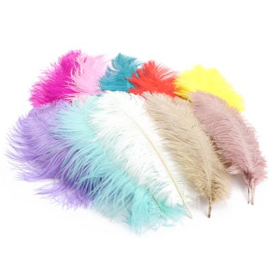 China Ostrich Hair Color Feather Wedding Decoration Flower Arrangement Stage Costume Wedding for sale