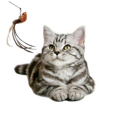 China Funny Viable Cat Stick Toy Environmental Foam Feather Digital Toys Accessories for sale