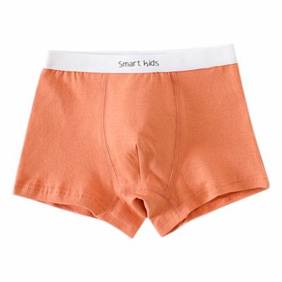 China Breathable 5 Packed OEM Backed Child Boy Box Briefs Teen Underwear for sale