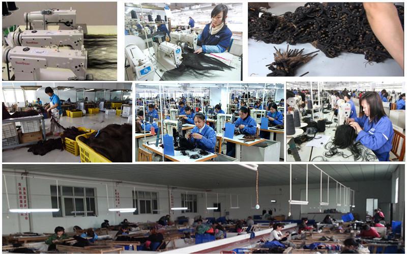 Verified China supplier - Guangzhou Xibolai Hair Products Firm