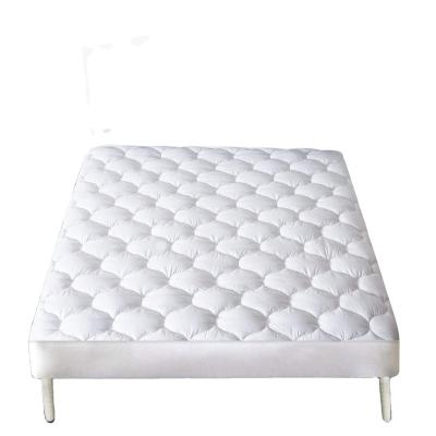 China Good Quality Twin Size Cotton Bed Mattress Protector Anti Dust Mites Quilted Bed Insect Insect Protector With Factory Price for sale