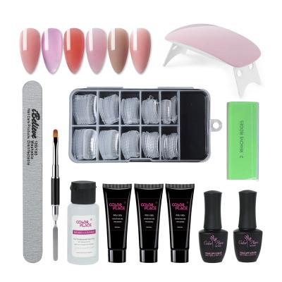 China Inorganic Professional Liquid Nail Extension Private Label Poly Pigment Gel Kit With UV Lamp for sale