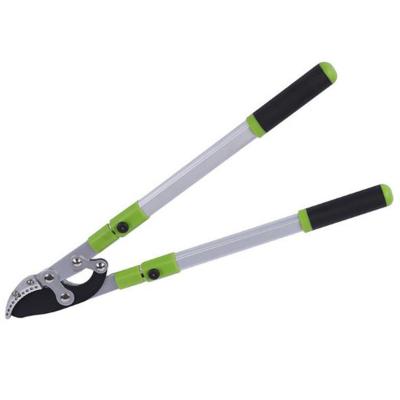 China Anti-Slip Extendable Tree Trimmer Pruners Branch Cutter Pruners Branch Cutter Garden Fruit Shears Tree Scissors With Long Handle for sale