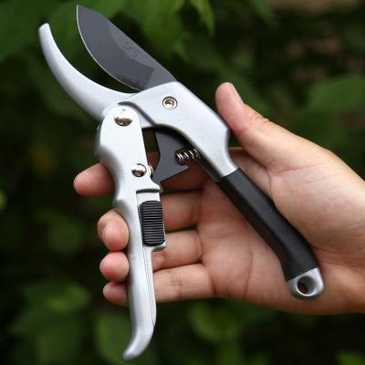 China Anti-Slip Handle China Supply SK5 Material Garden Shears Garden Shears Branches Scissors for sale